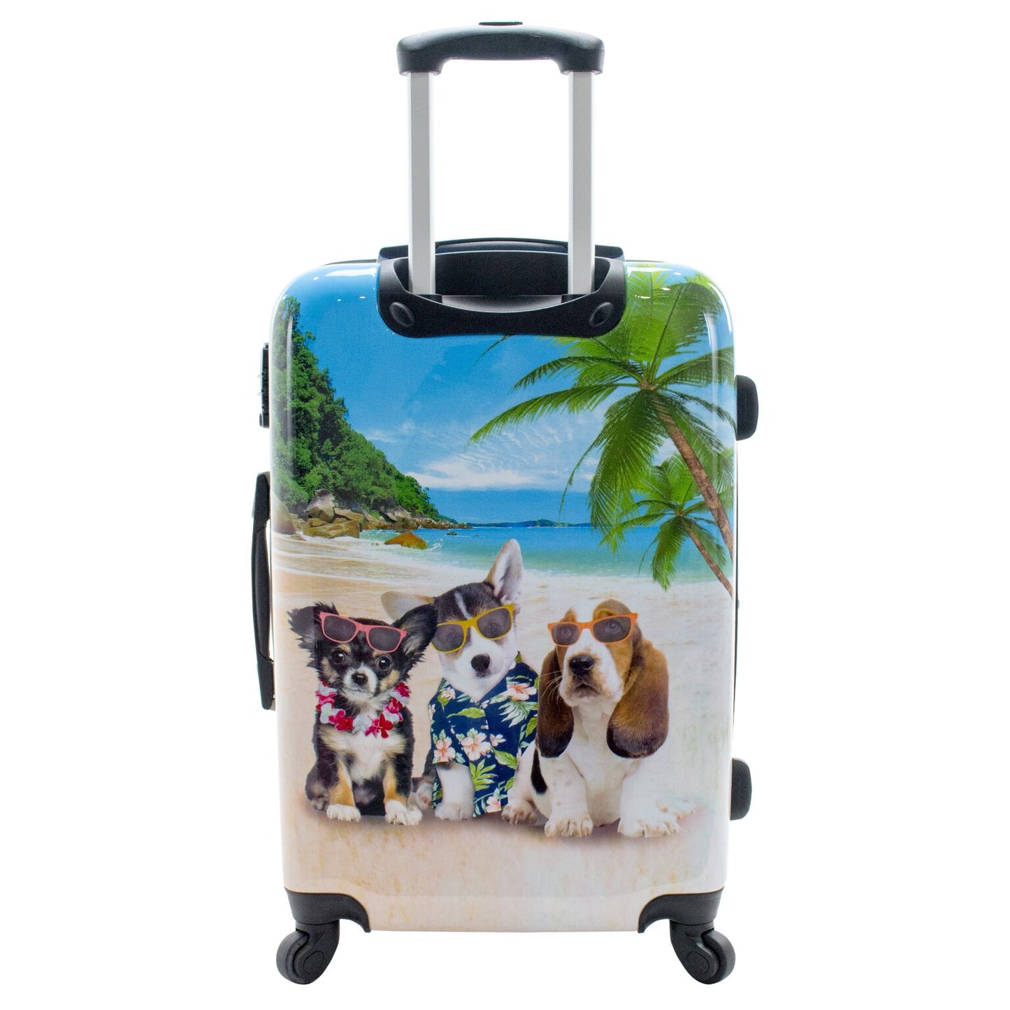 Chariot 20" Lightweight Spinner Carry-On Upright Suitcase - Cat Pilots