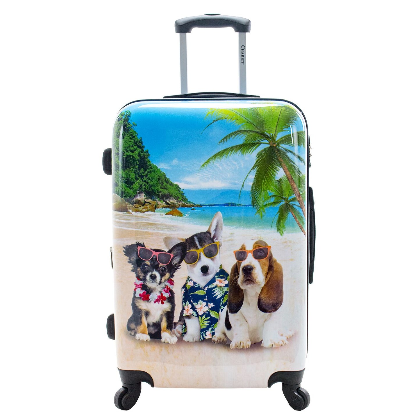 Chariot 20" Lightweight Spinner Carry-On Upright Suitcase - Cat Pilots