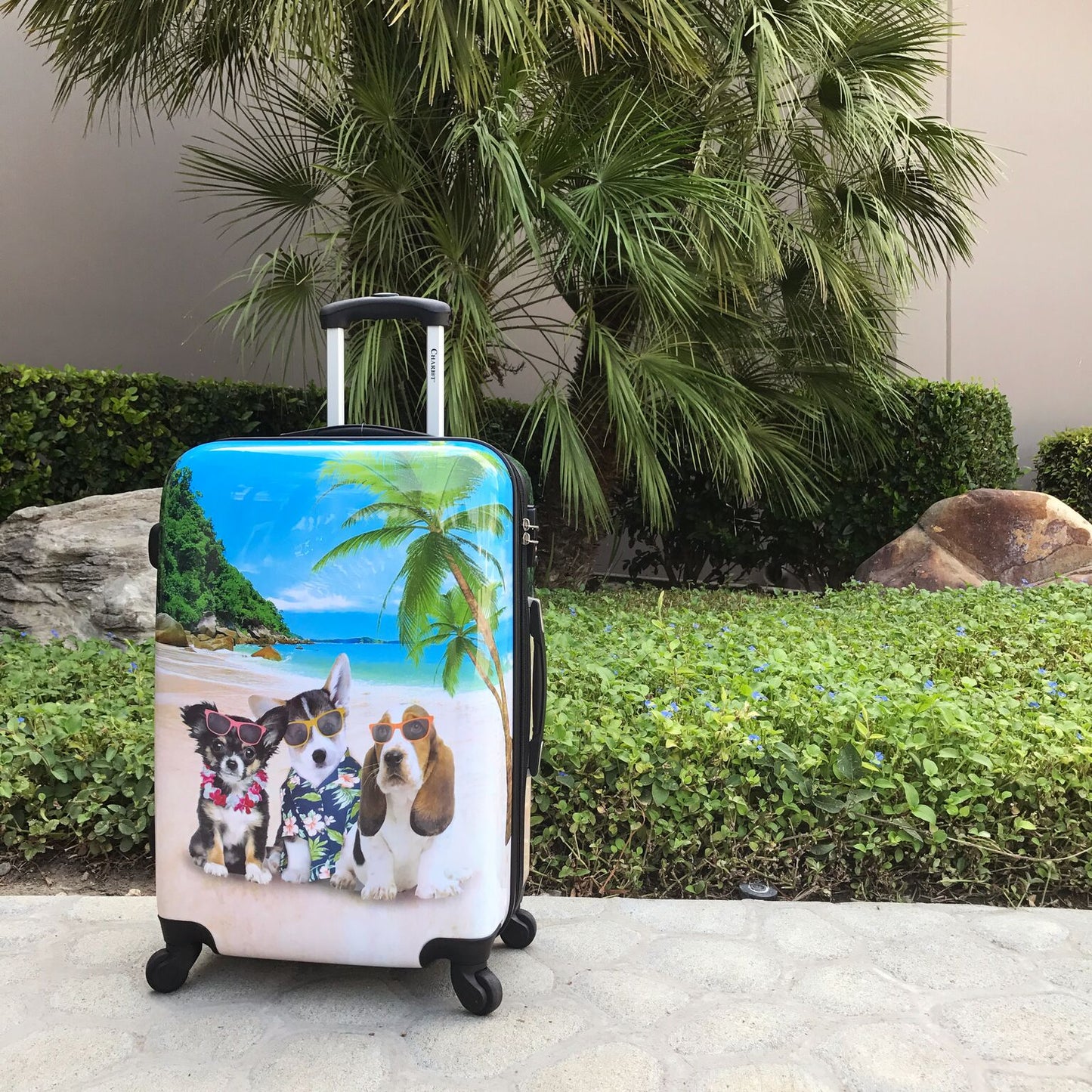 Chariot 20" Lightweight Spinner Carry-On Upright Suitcase - Cat Pilots
