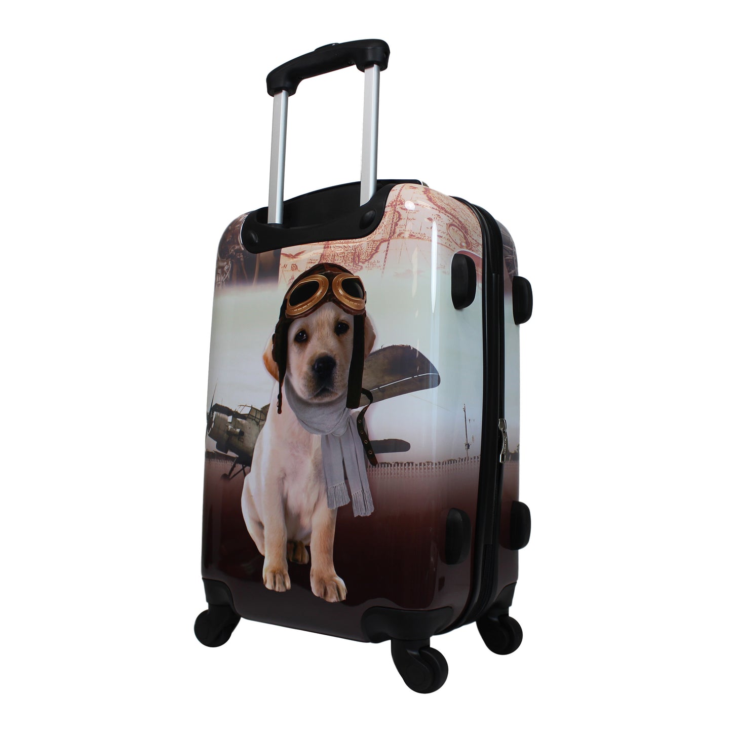 Chariot 20" Lightweight Spinner Carry-On Upright Suitcase - Cat Pilots