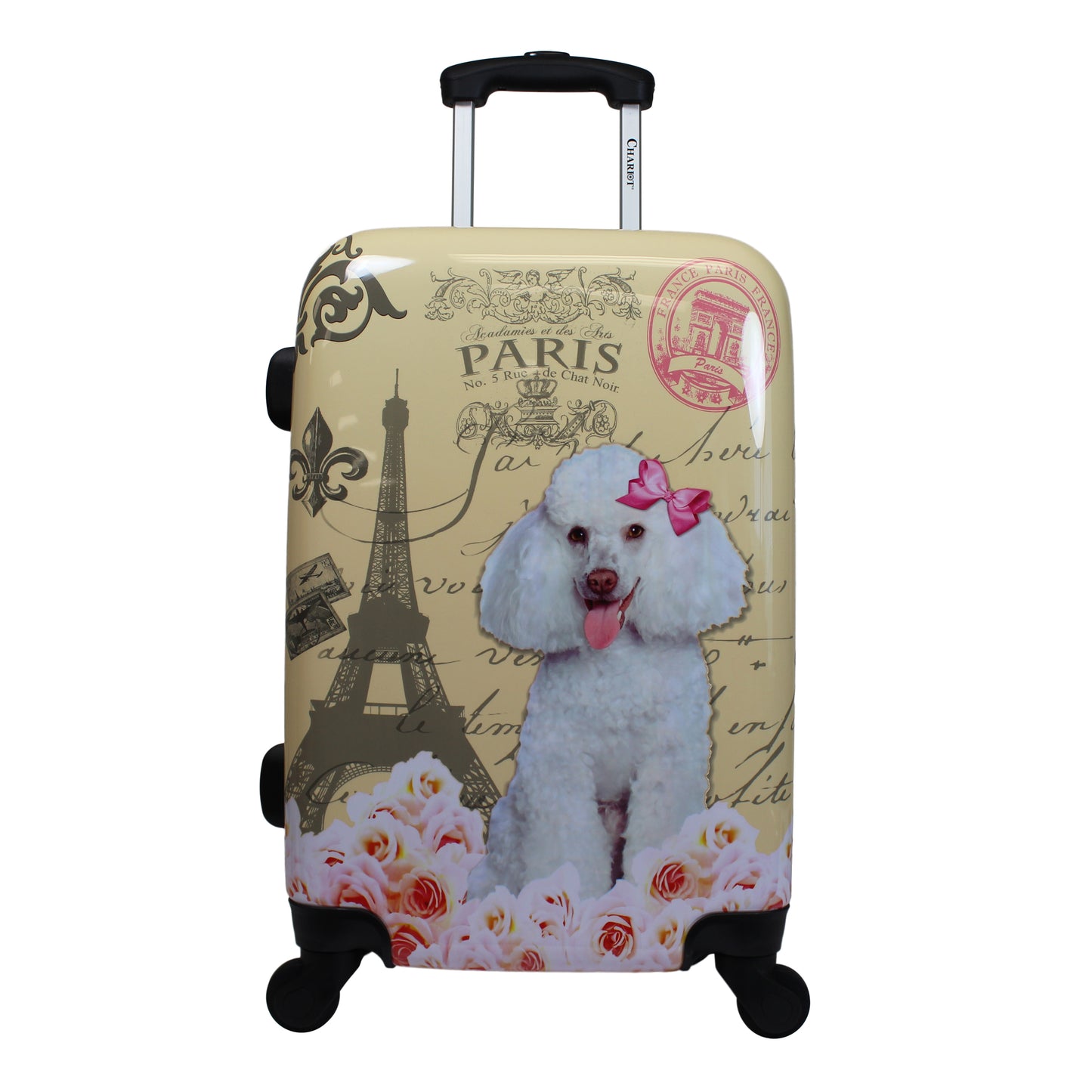 Chariot 20" Lightweight Spinner Carry-On Upright Suitcase - Cat Pilots
